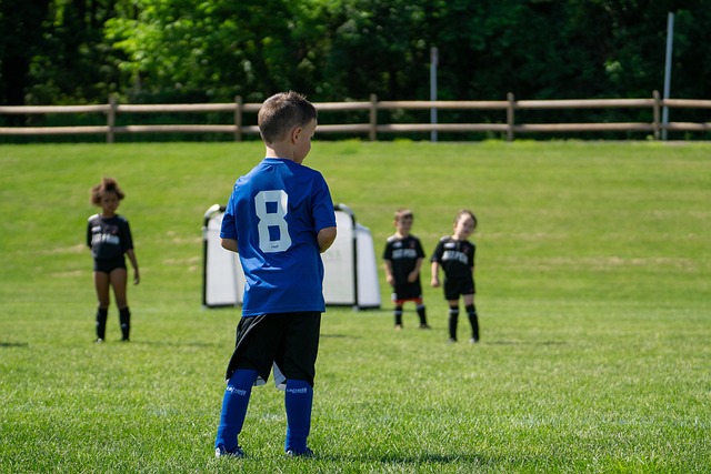 了得分榜和 了得分榜和