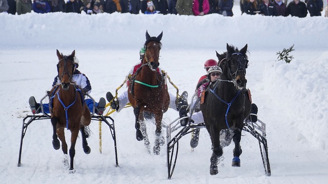 球迷们再次 球迷们再次