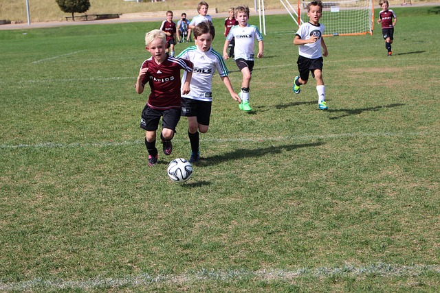 形成有效制 形成有效制