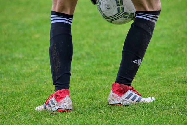 通过参与国 通过参与国