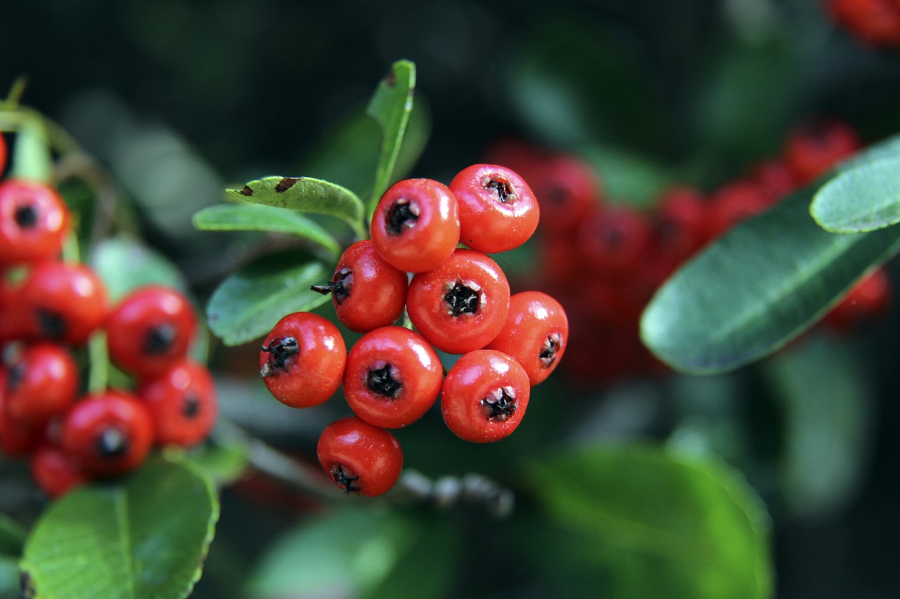 中都必须面 中都必须面