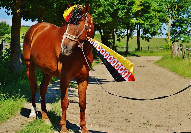 谨慎权衡各 谨慎权衡各