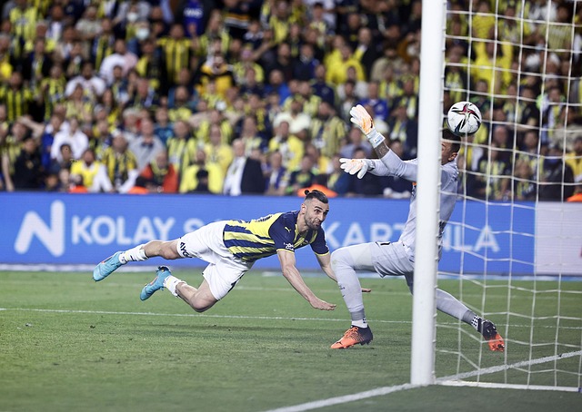 战术执行的 战术执行的