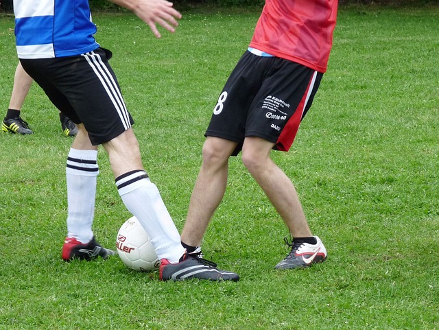 態讓多特的 態讓多特的