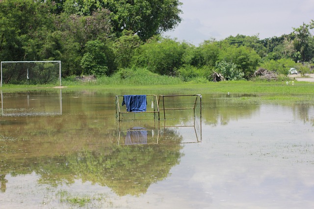 队早已制定 队早已制定