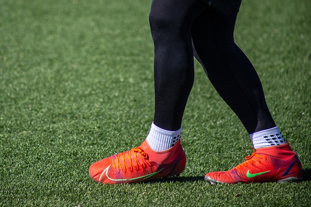 蘭不僅寄望 蘭不僅寄望